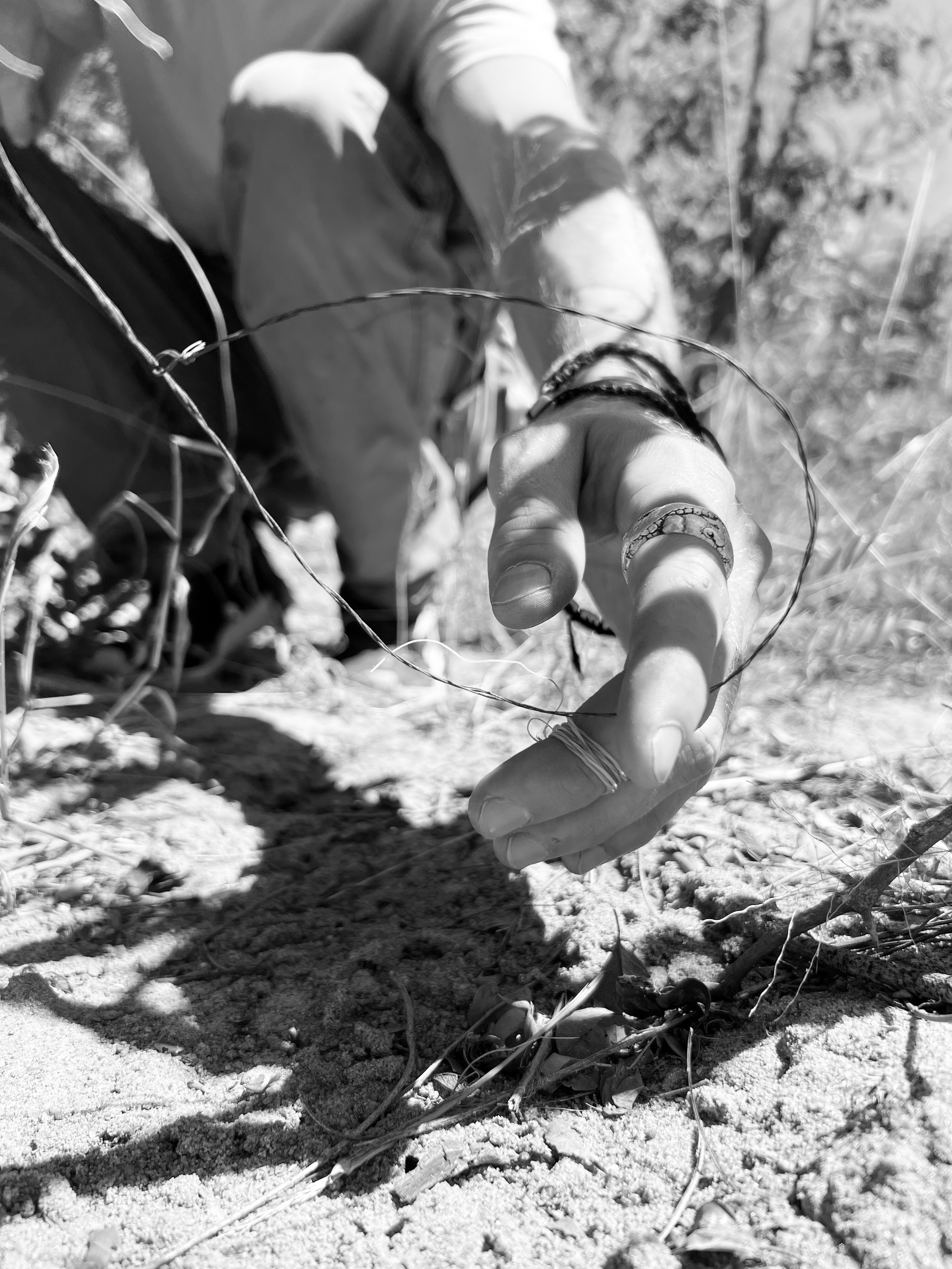 Vrijwilligersreis Hwange - Zimbabwe - Afbeelding 51