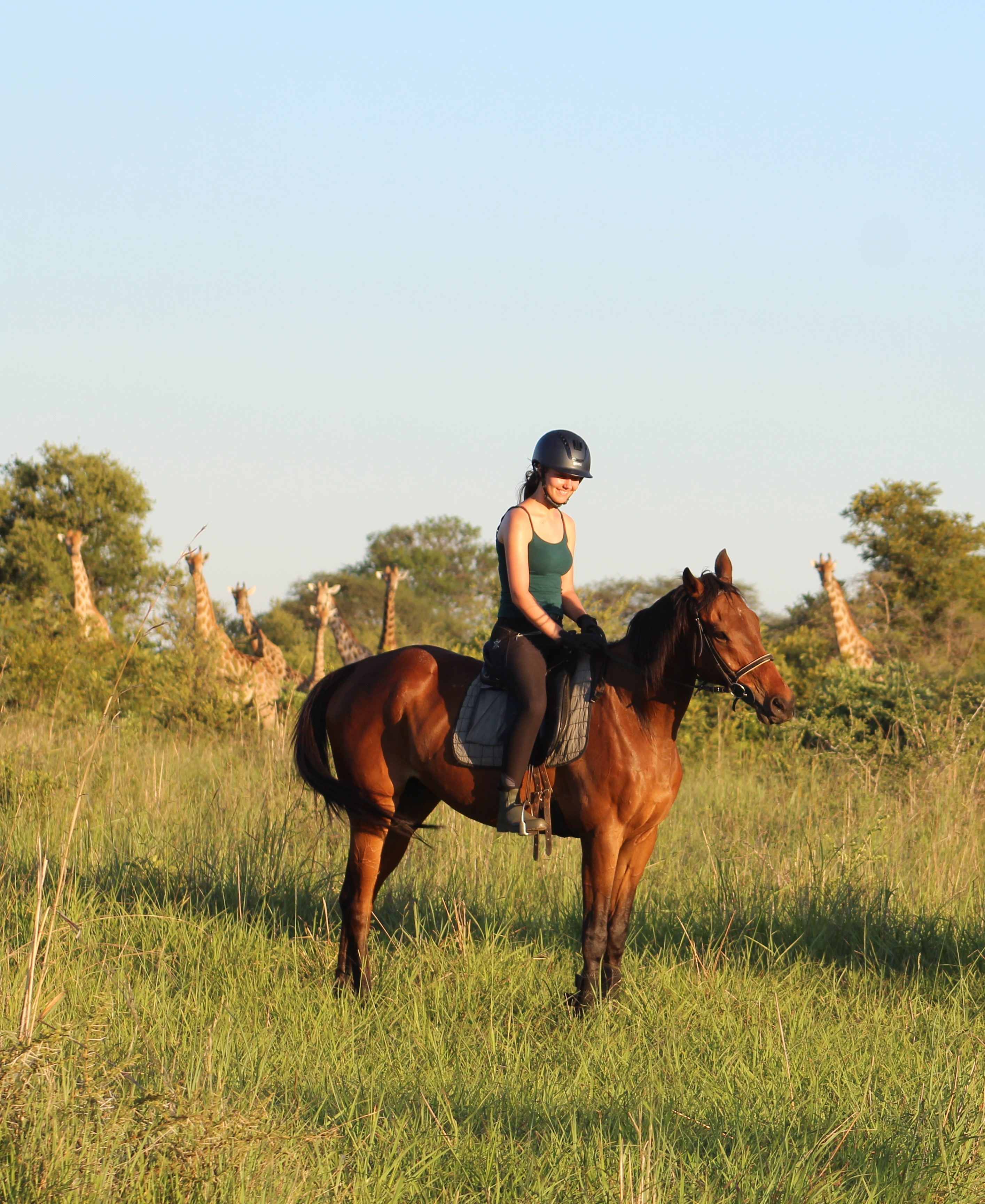 Vrijwilligersreis Hwange - Zimbabwe - Afbeelding 50