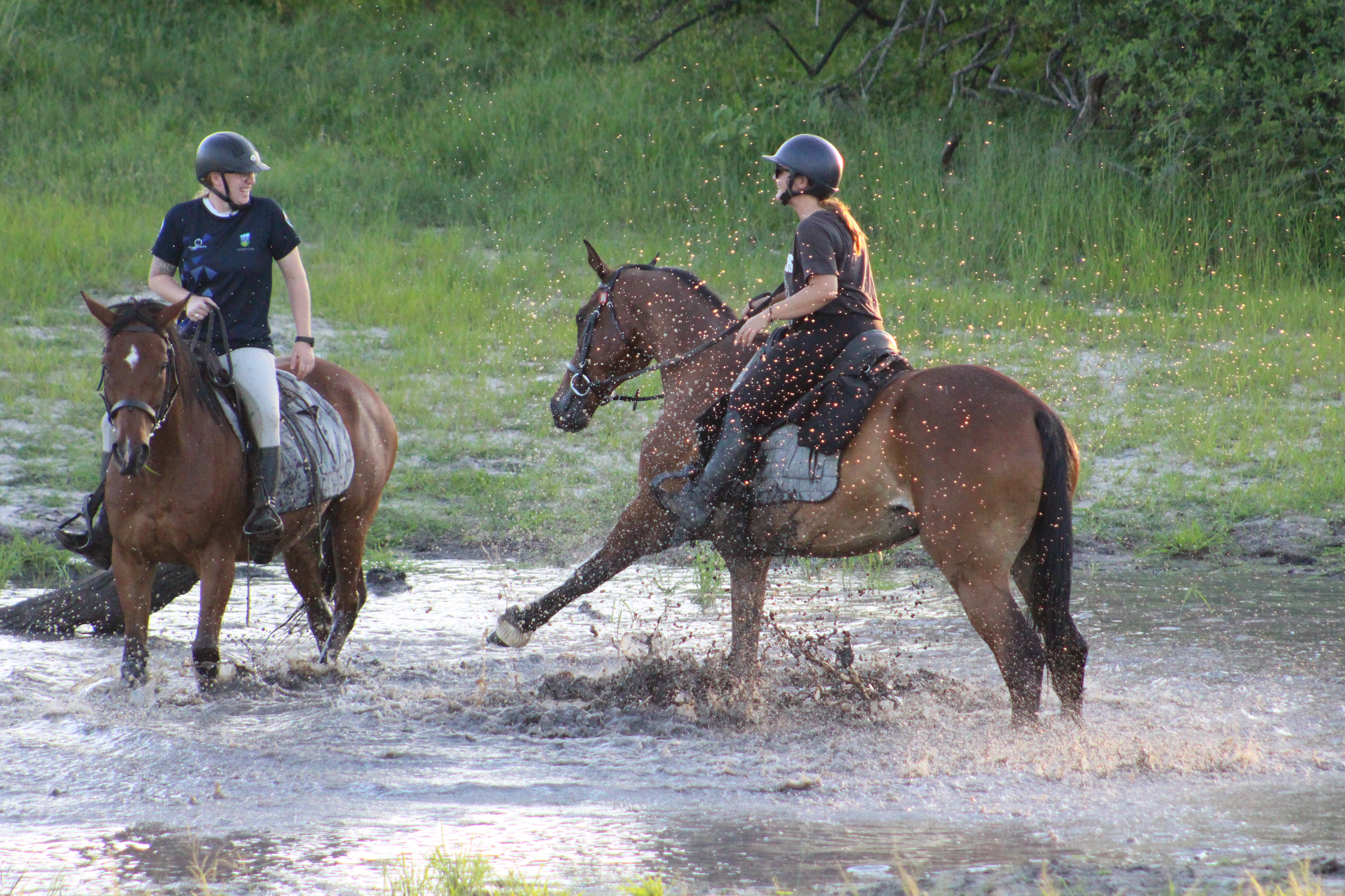 Vrijwilligersreis Hwange - Zimbabwe - Afbeelding 49