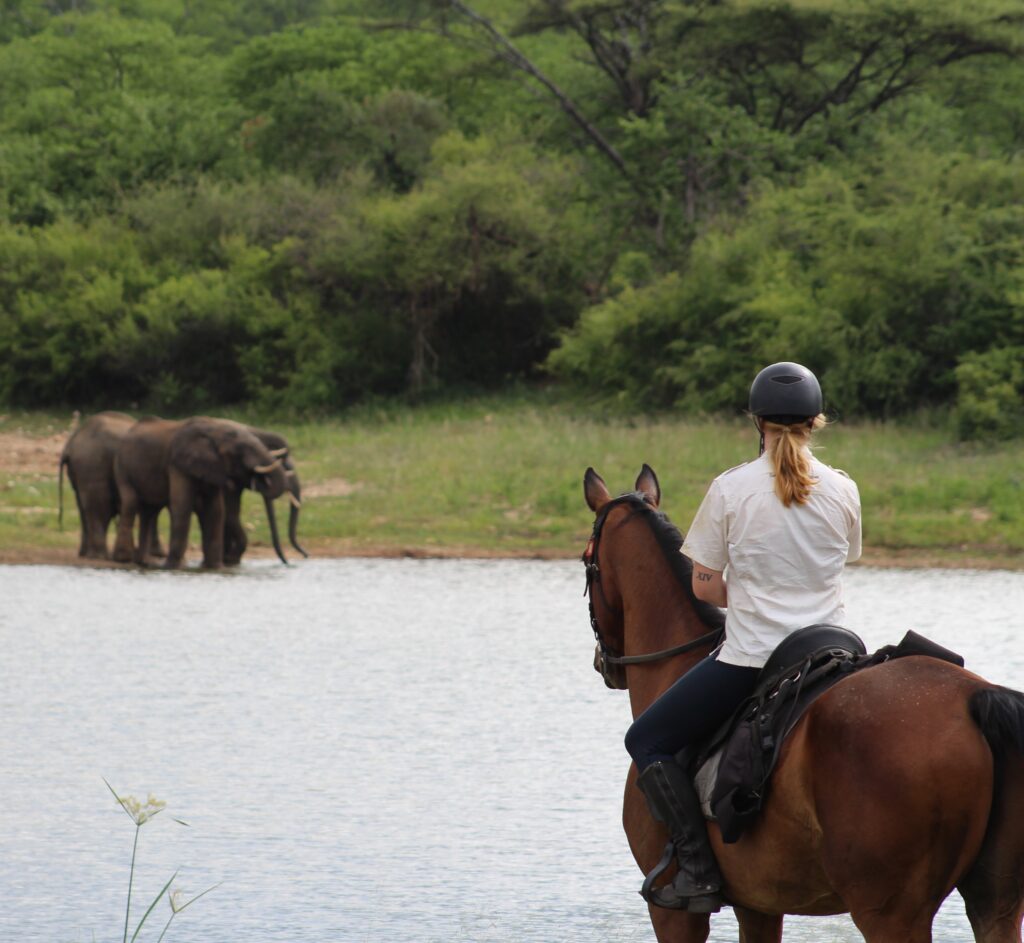 Vrijwilligersreis Hwange - Zimbabwe