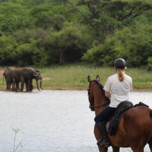 Vrijwilligersreis Hwange - Zimbabwe - Afbeelding 2