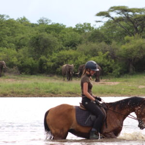 Vrijwilligersreis Hwange - Zimbabwe - Afbeelding 14