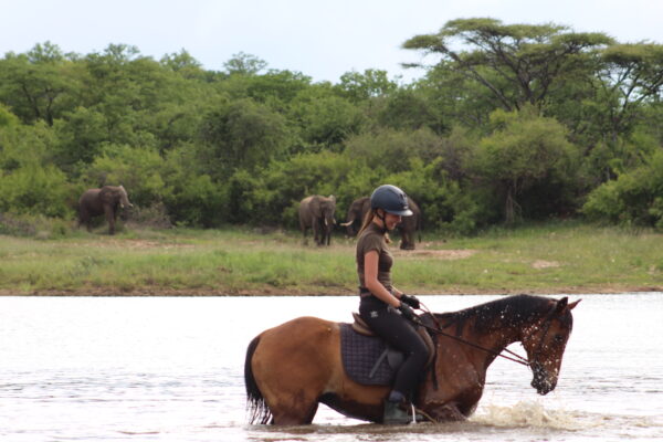 Vrijwilligersreis Hwange - Zimbabwe