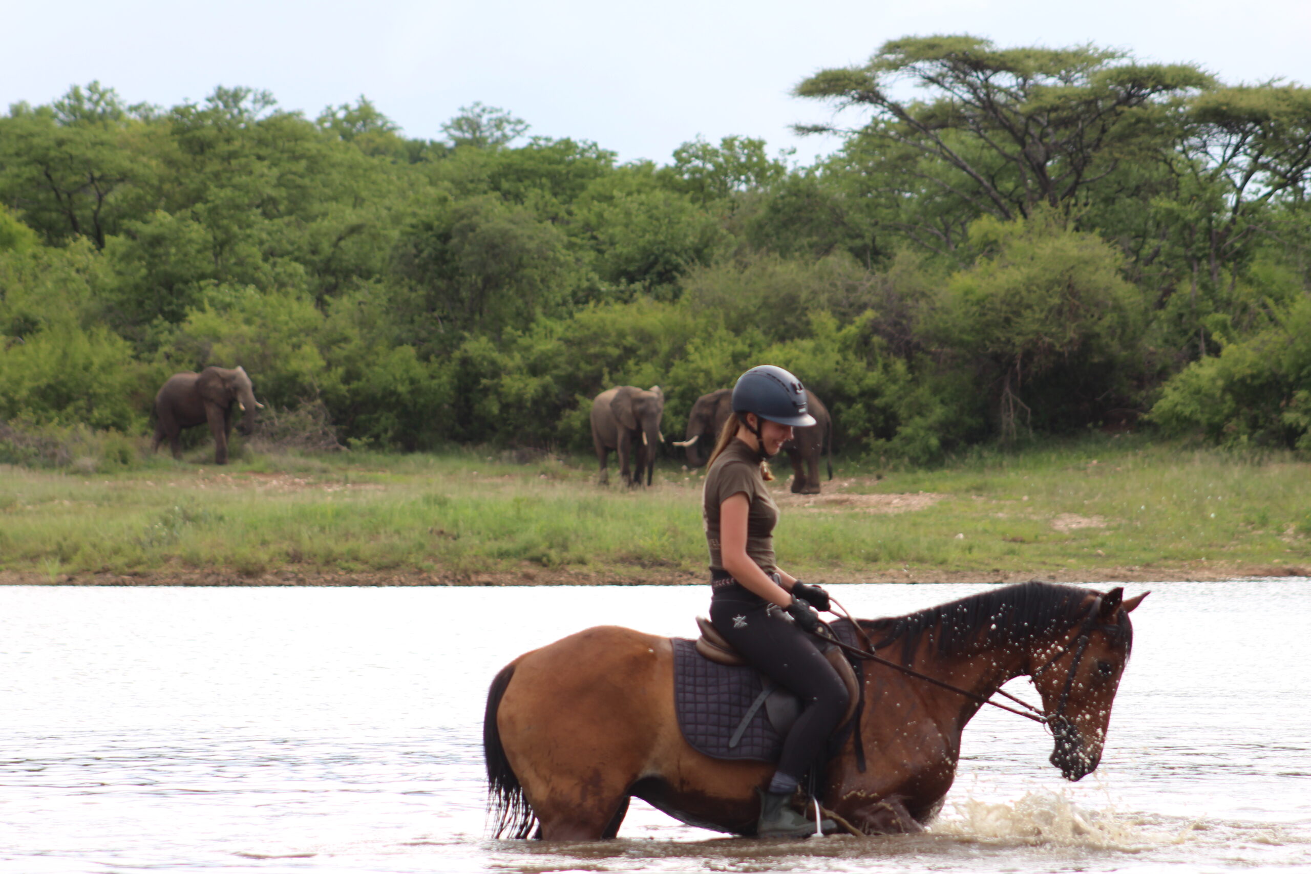 Vrijwilligersreis Hwange - Zimbabwe - Afbeelding 14