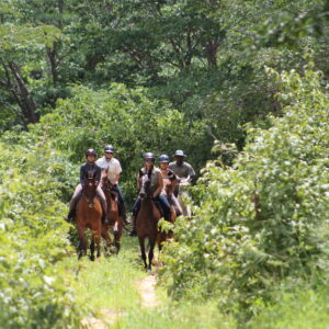 Vrijwilligersreis Hwange - Zimbabwe - Afbeelding 47