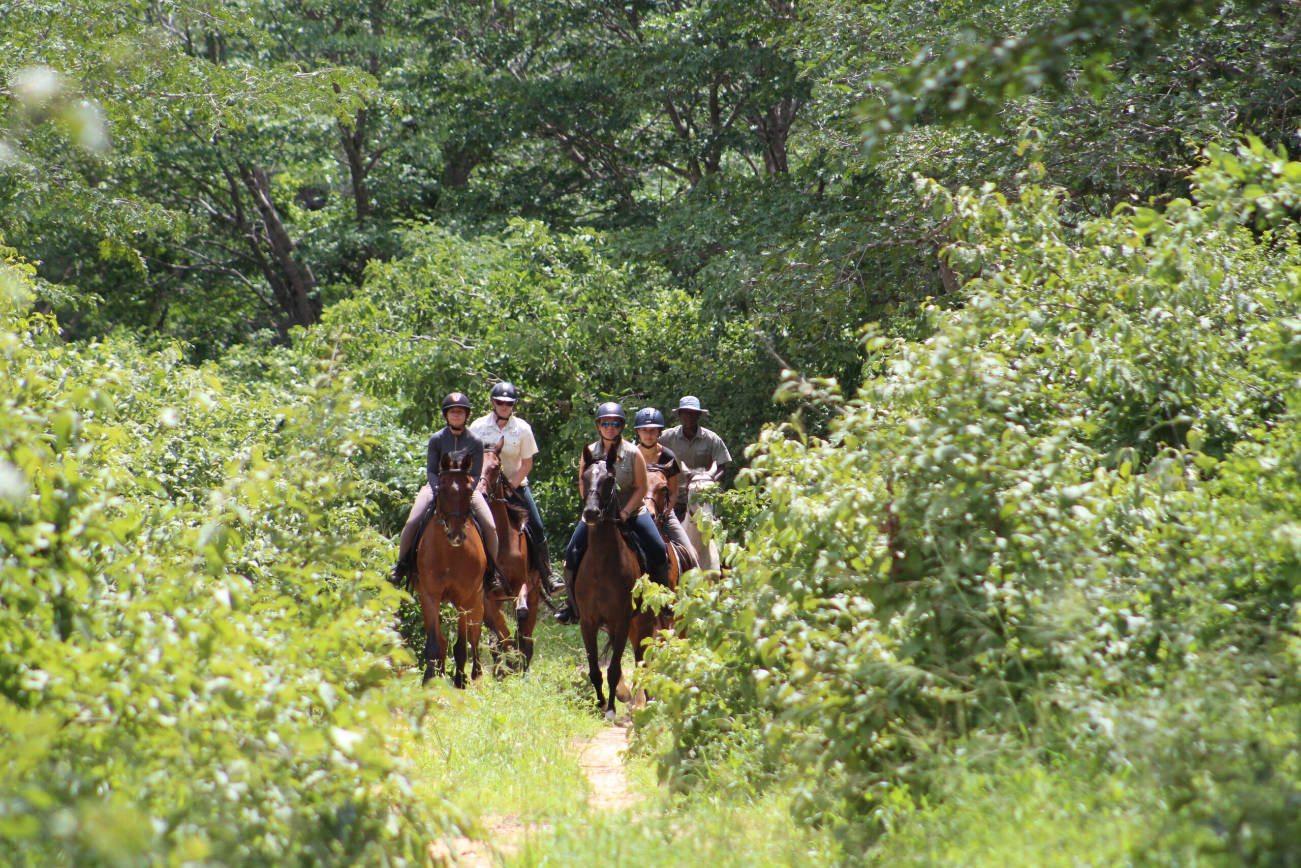 Vrijwilligersreis Hwange - Zimbabwe