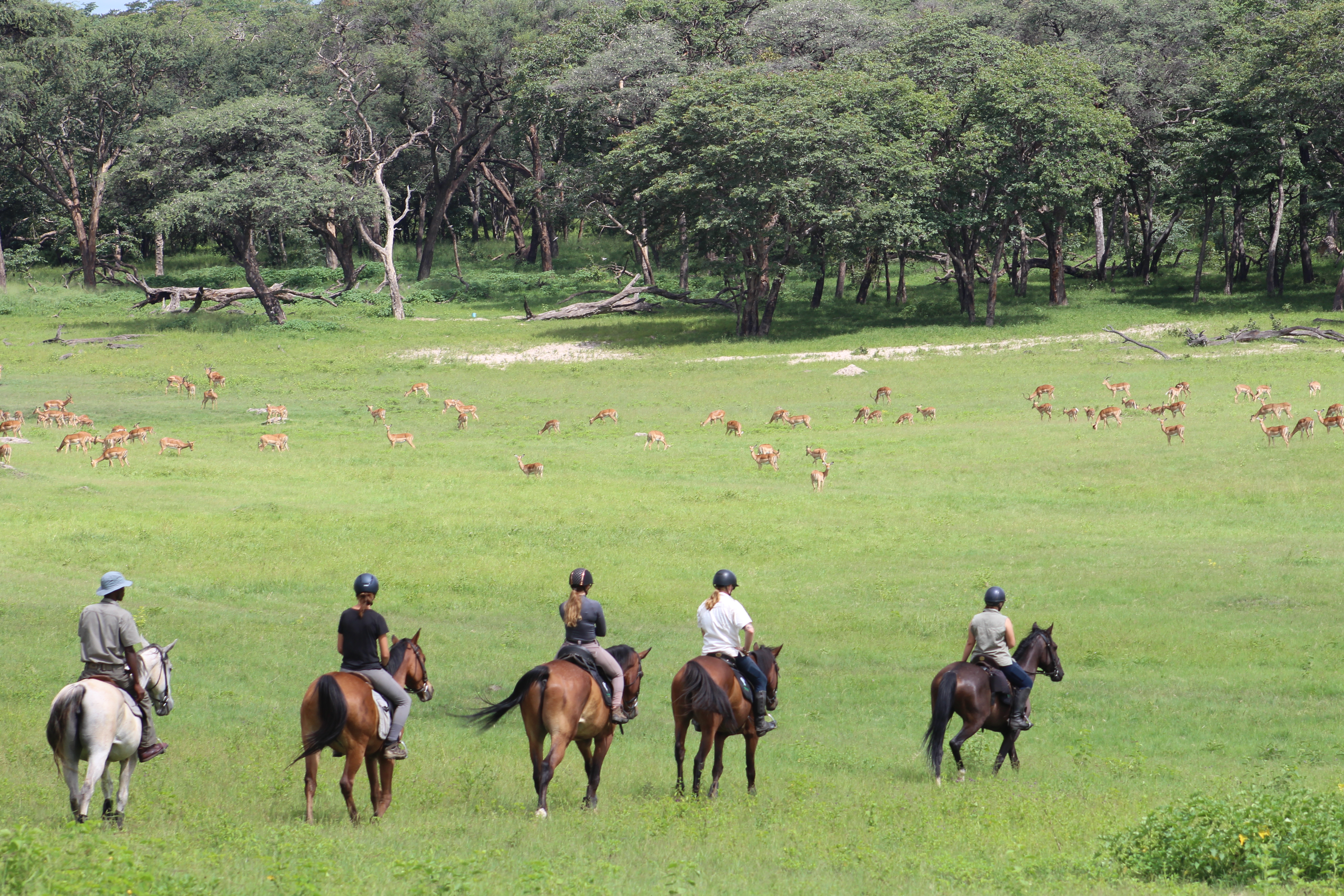 Vrijwilligersreis Hwange - Zimbabwe - Afbeelding 46