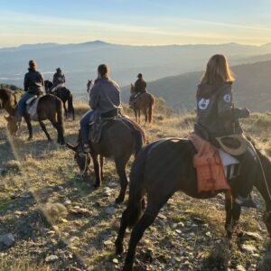3-daagse paardrijtocht door de Sierra Nevada Spanje - Afbeelding 6