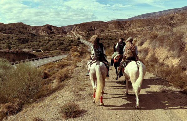 5-daagse Cowbow Paardrijtocht Andalusië - Spanje