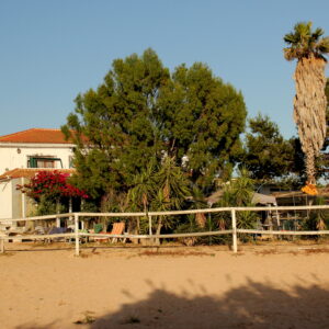 8-daagse paardrijvakantie: Lessen & Tochten Valencia - Spanje - Afbeelding 22