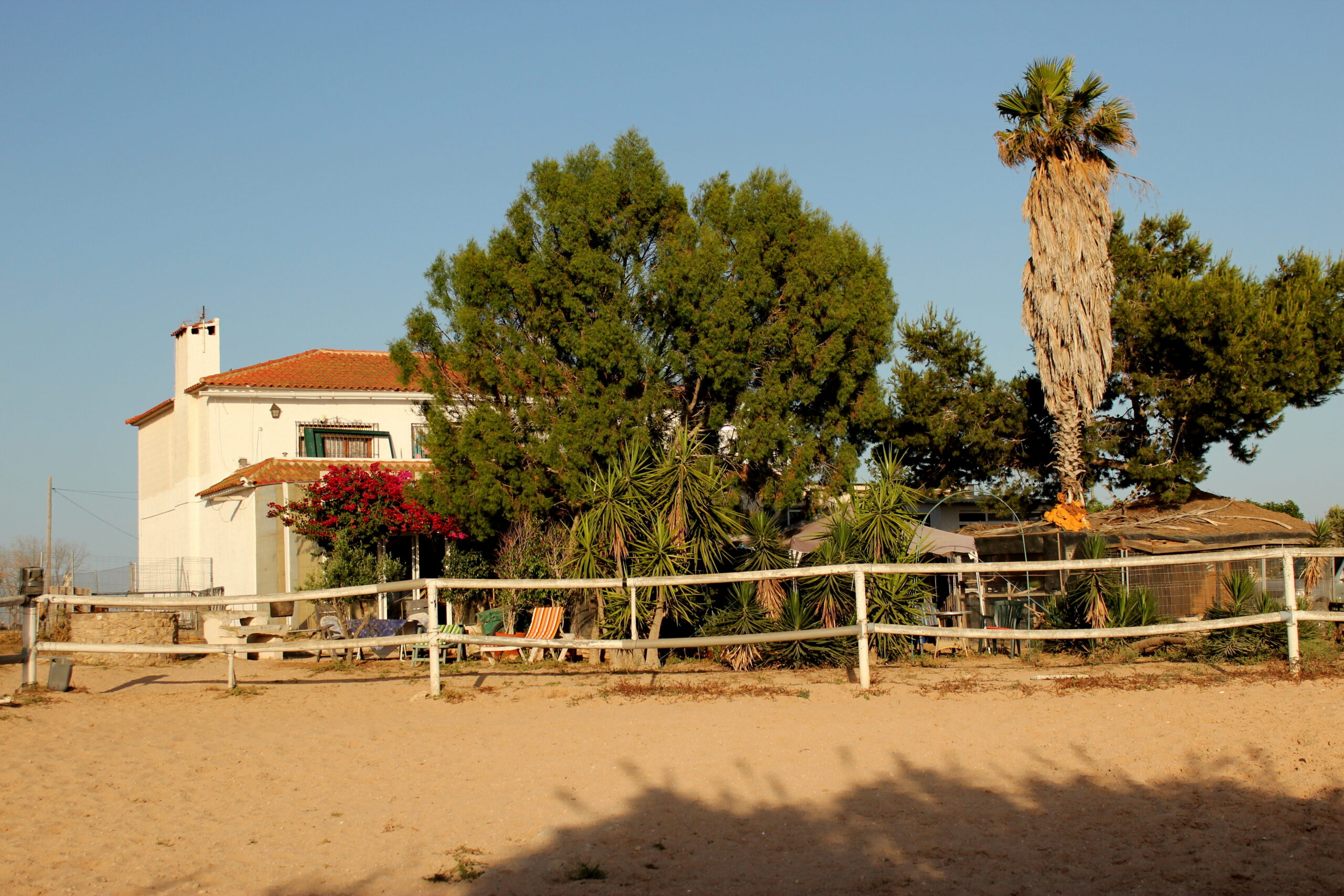 8-daagse paardrijvakantie: Lessen & Tochten Valencia - Spanje - Afbeelding 22