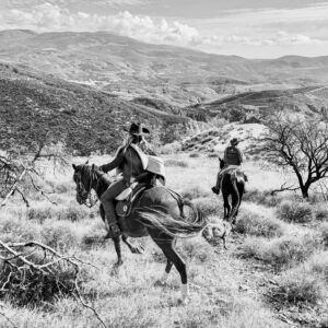 5-daagse Cowbow Paardrijtocht Andalusië - Spanje - Afbeelding 8