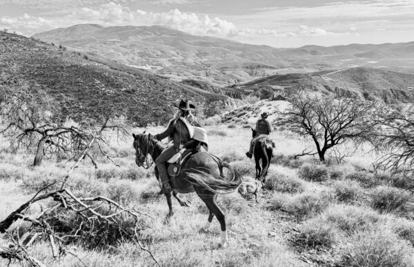 5-daagse Cowbow Paardrijtocht Andalusië - Spanje