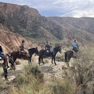 5-daagse Cowbow Paardrijtocht Andalusië - Spanje - Afbeelding 7