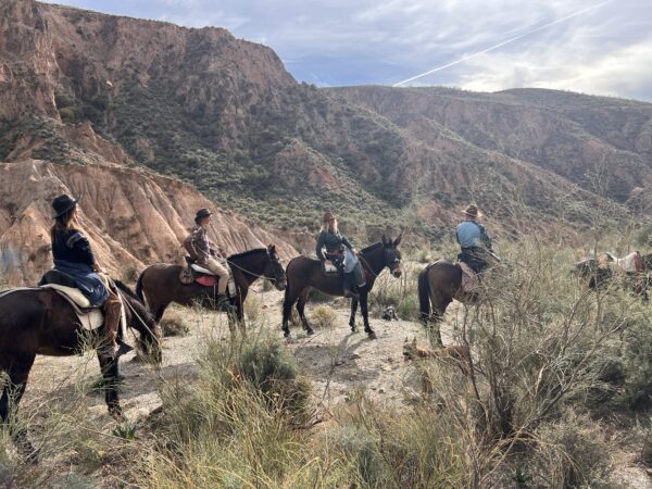 5-daagse Cowbow Paardrijtocht Andalusië - Spanje