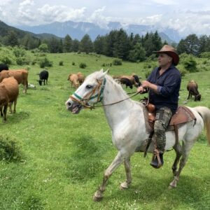 Buitenritten (evt. met overnachting) door Zuid-Albanië -  Albanië - Afbeelding 11