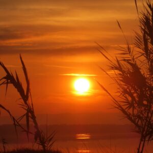 8-daagse paardrijvakantie: dagtochten natuurreservaat La Mata Valencia - Spanje - Afbeelding 23