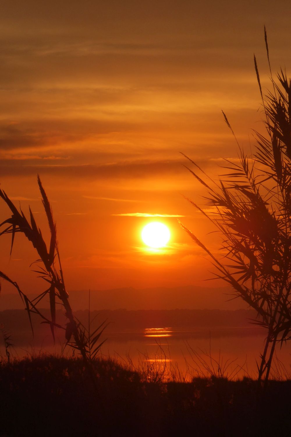 8-daagse paardrijvakantie: dagtochten natuurreservaat La Mata Valencia - Spanje