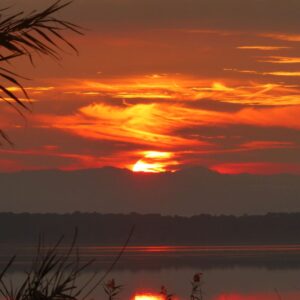 8-daagse paardrijvakantie: Lessen & Tochten Valencia - Spanje - Afbeelding 23