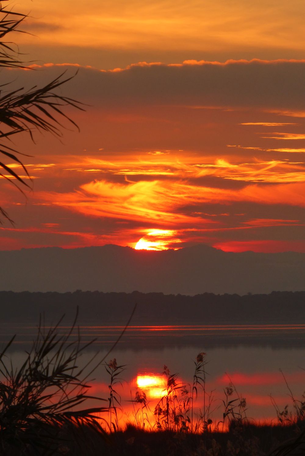 8-daagse paardrijvakantie: Lessen & Tochten Valencia - Spanje - Afbeelding 23