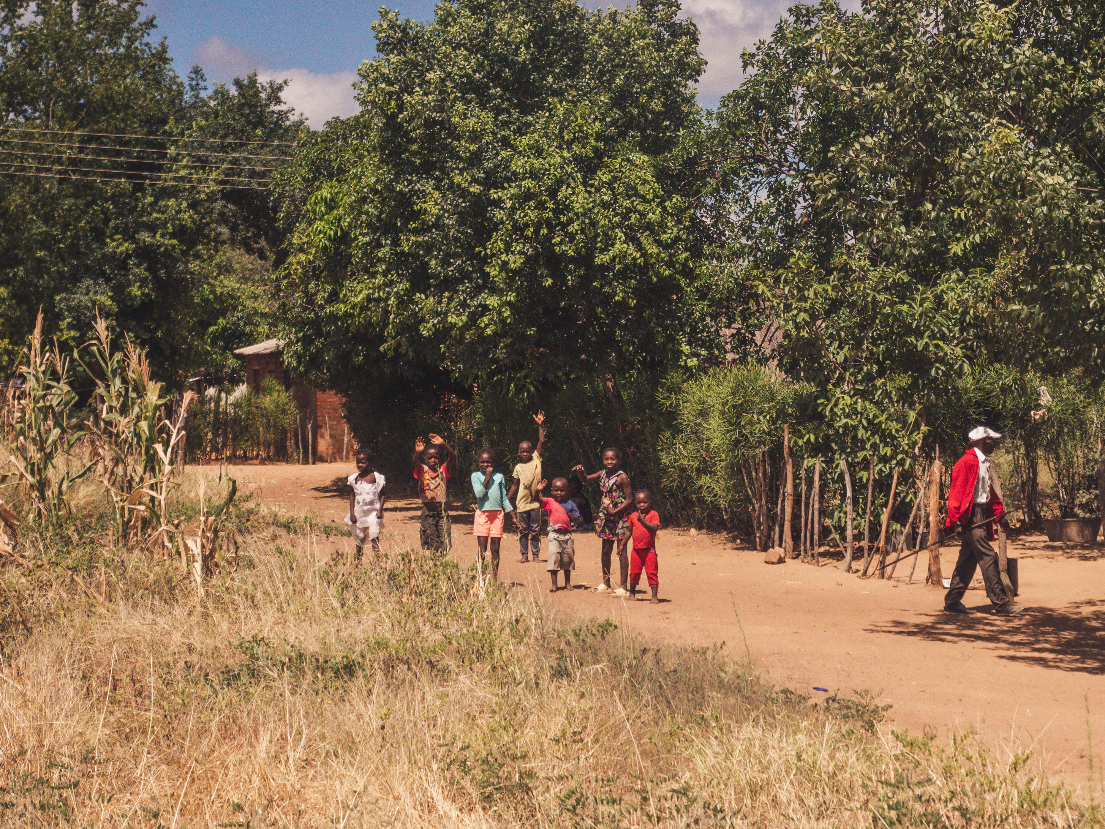 Vrijwilligersreis Hwange - Zimbabwe - Afbeelding 42