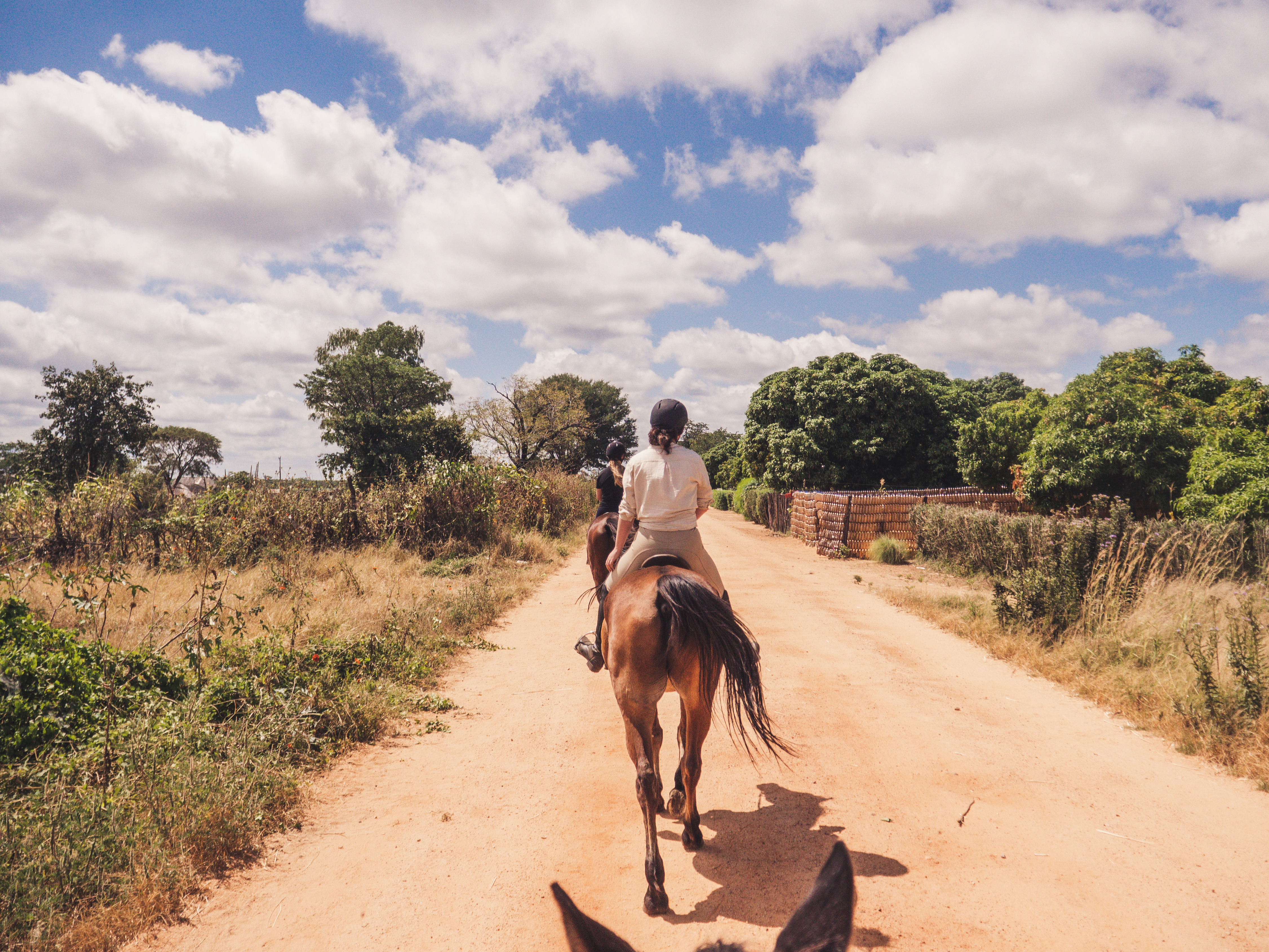 Vrijwilligersreis Hwange - Zimbabwe - Afbeelding 41