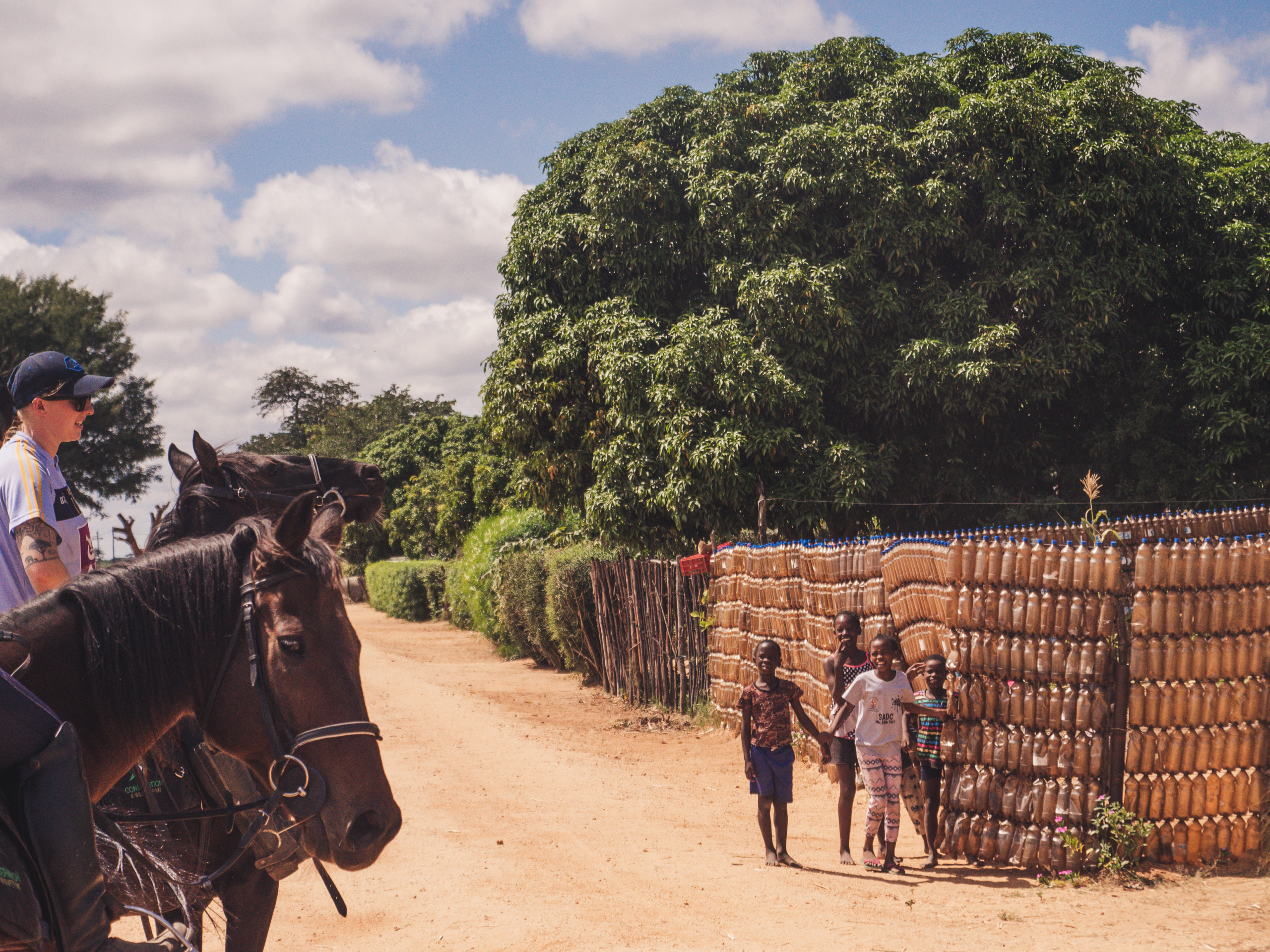 Vrijwilligersreis Hwange - Zimbabwe - Afbeelding 20