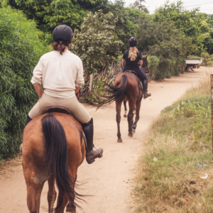 Vrijwilligersreis Hwange - Zimbabwe - Afbeelding 21