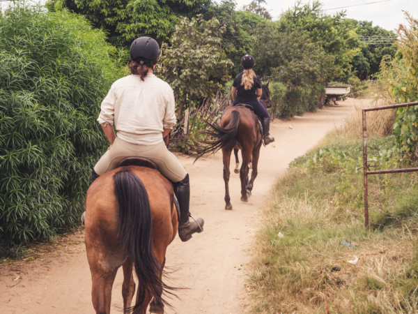Vrijwilligersreis Hwange - Zimbabwe