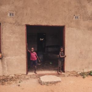 Vrijwilligersreis Hwange - Zimbabwe - Afbeelding 22