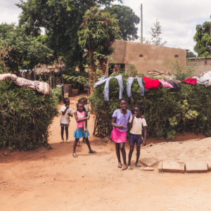 Vrijwilligersreis Hwange - Zimbabwe - Afbeelding 23