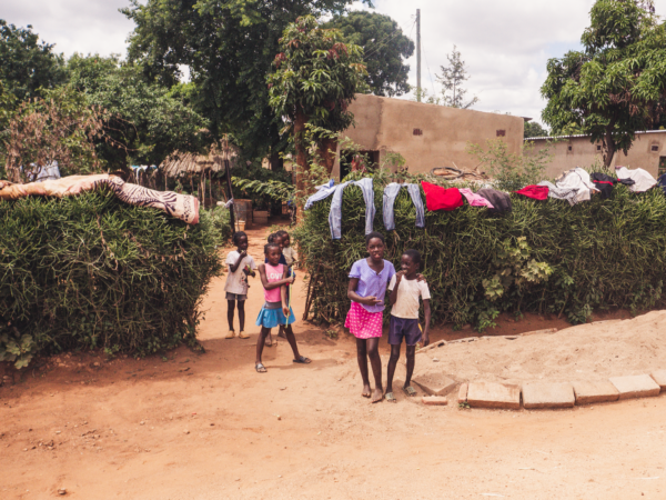 Vrijwilligersreis Hwange - Zimbabwe