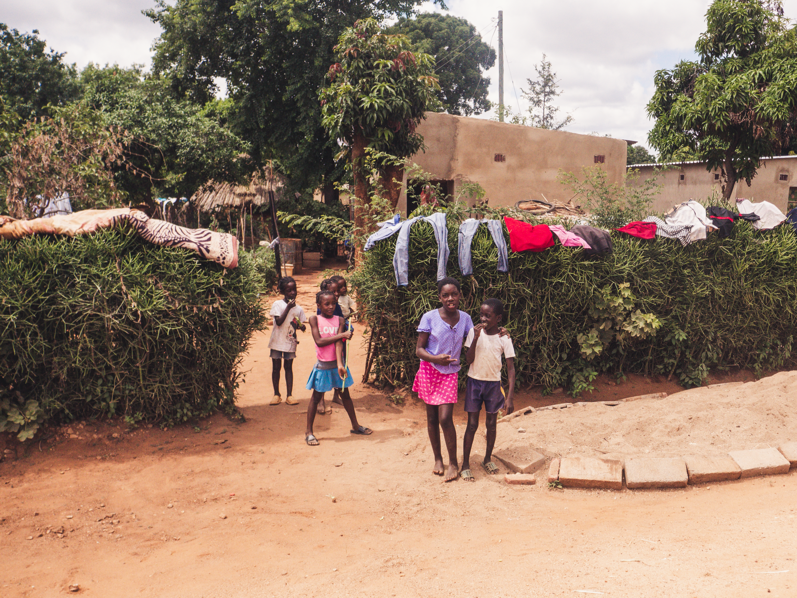 Vrijwilligersreis Hwange - Zimbabwe - Afbeelding 23