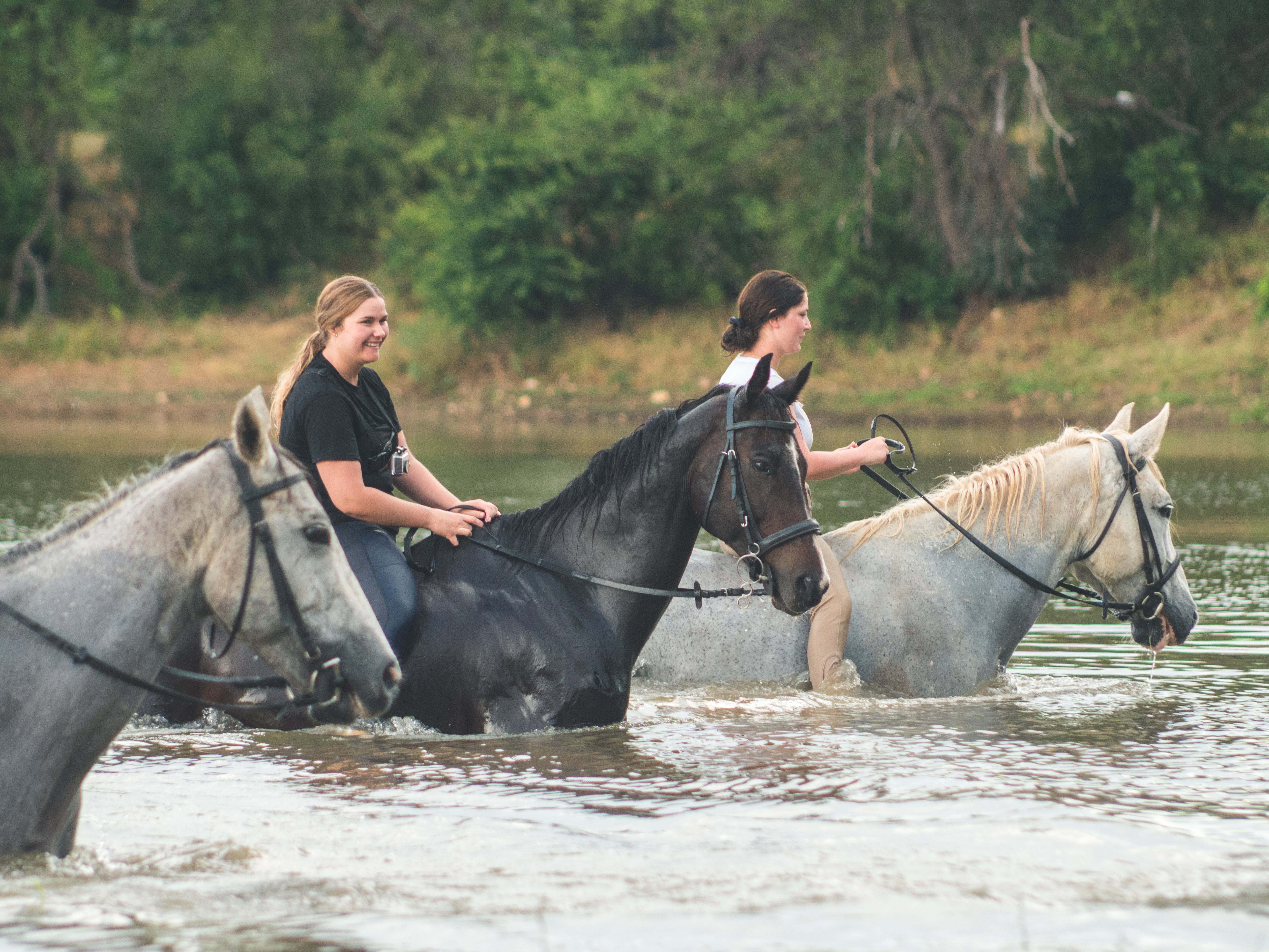 Vrijwilligersreis Hwange - Zimbabwe - Afbeelding 40