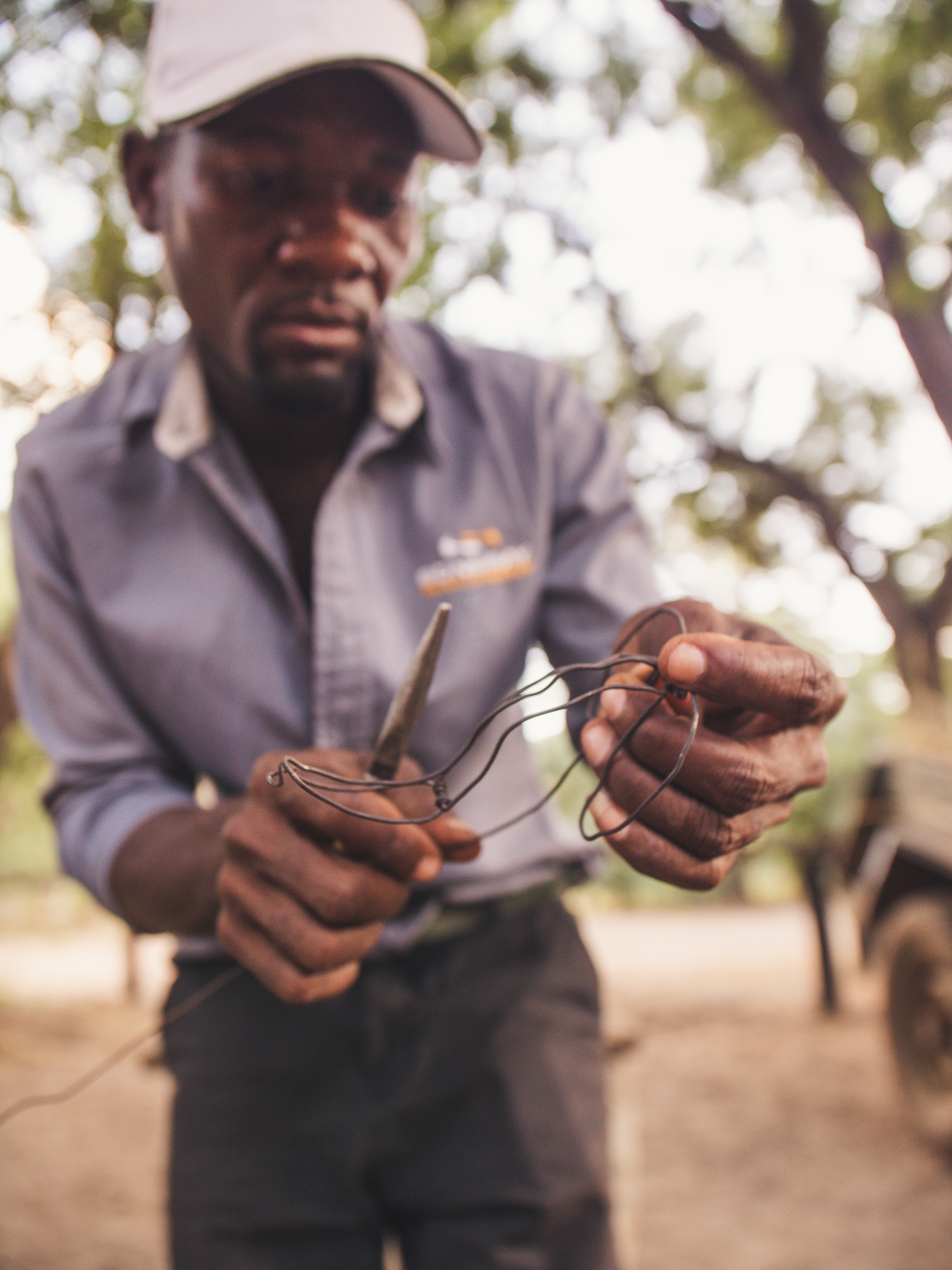 Vrijwilligersreis Hwange - Zimbabwe - Afbeelding 38