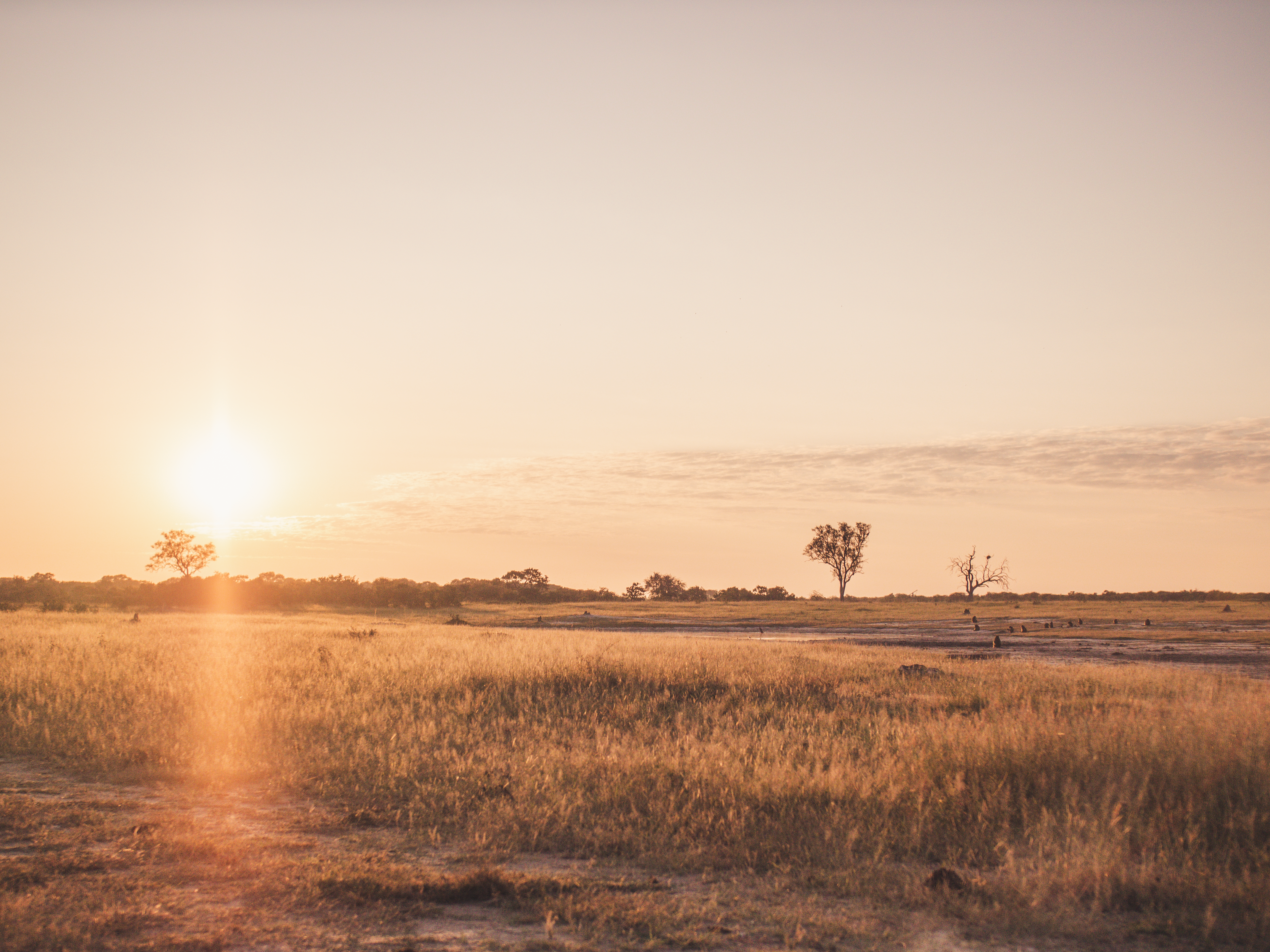 Vrijwilligersreis Hwange - Zimbabwe - Afbeelding 36