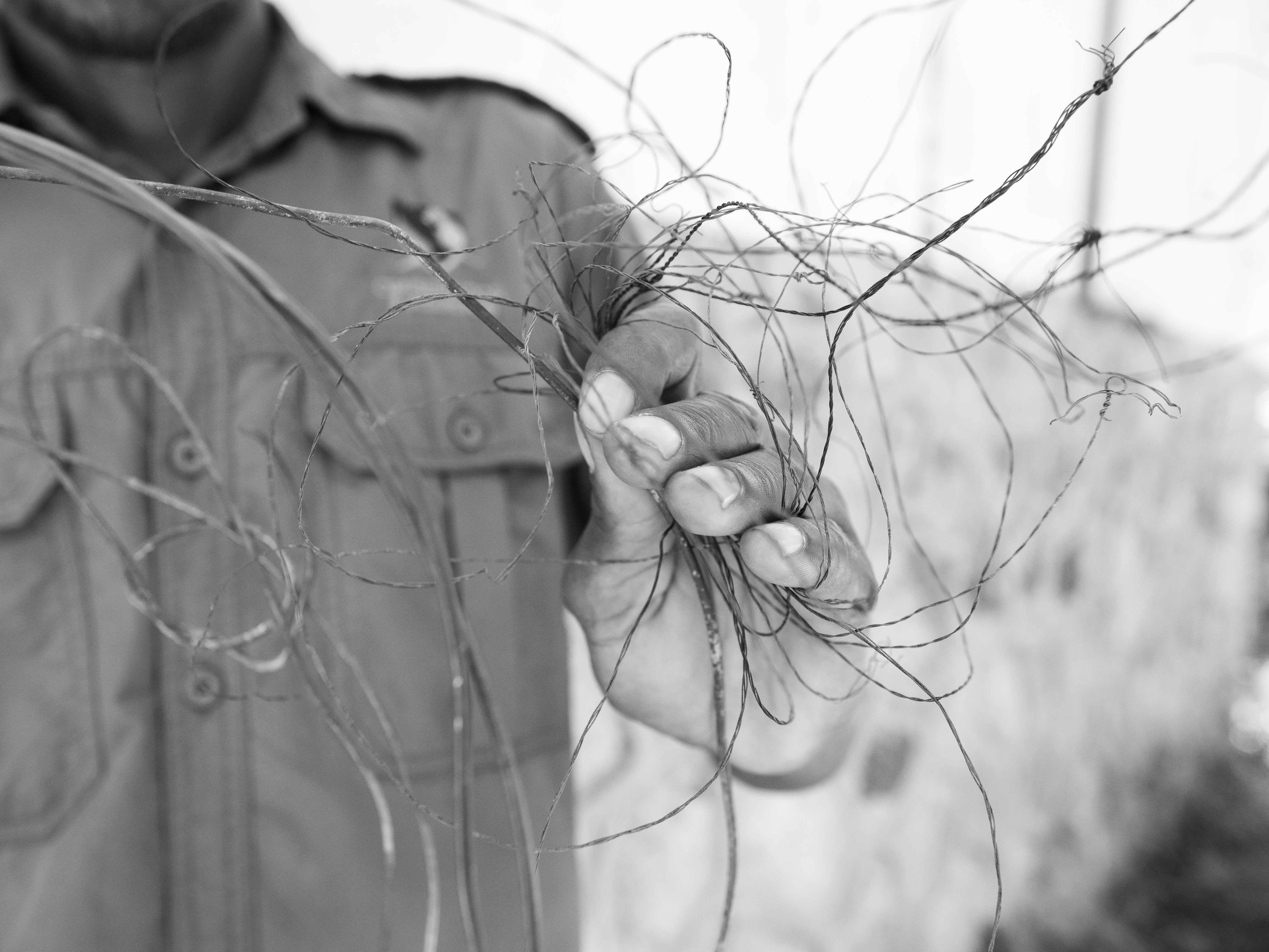 Vrijwilligersreis Hwange - Zimbabwe - Afbeelding 34