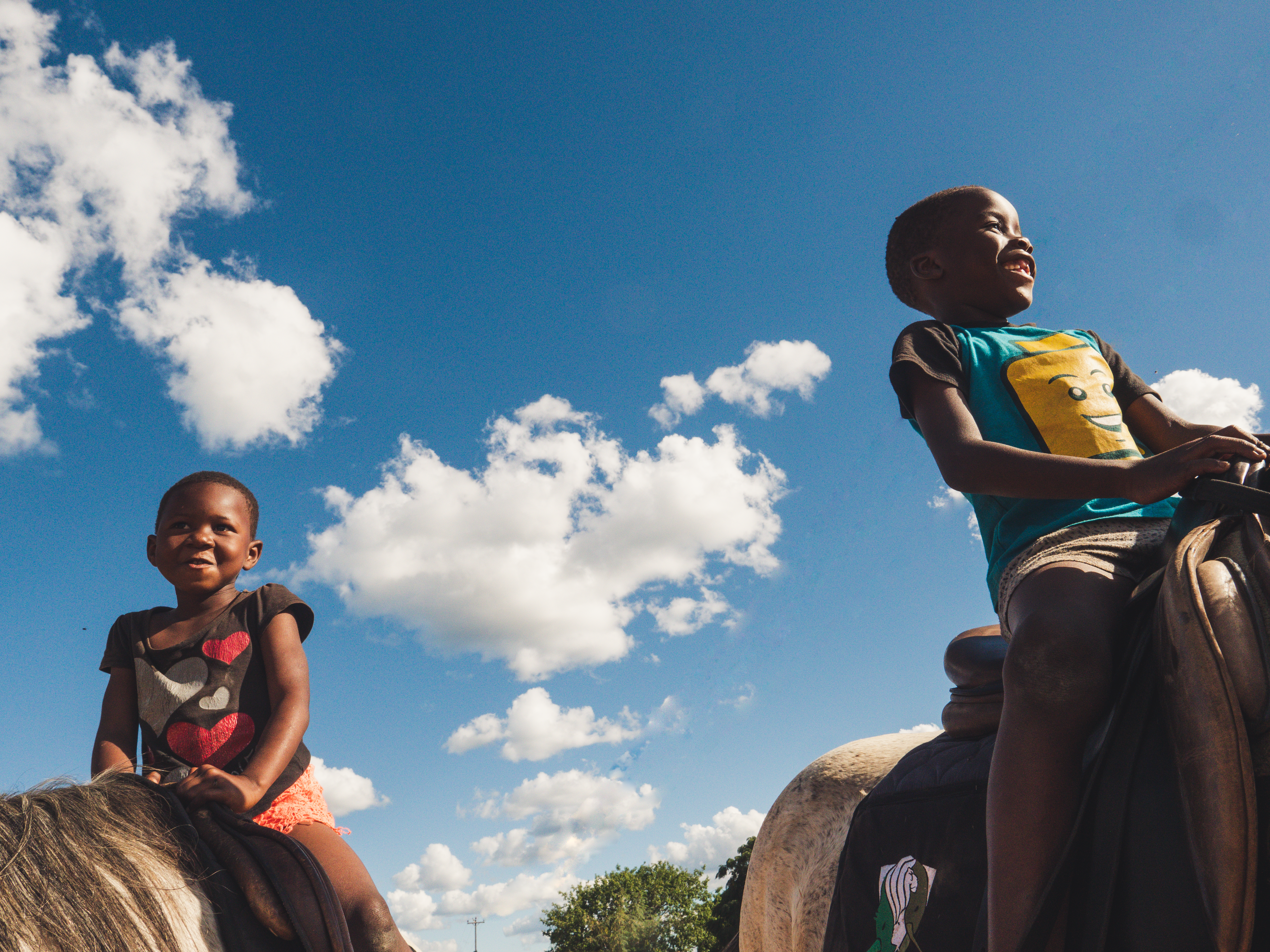 Vrijwilligersreis Hwange - Zimbabwe - Afbeelding 33