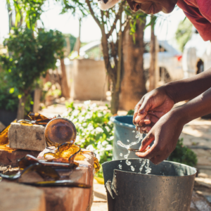 Vrijwilligersreis Hwange - Zimbabwe - Afbeelding 29
