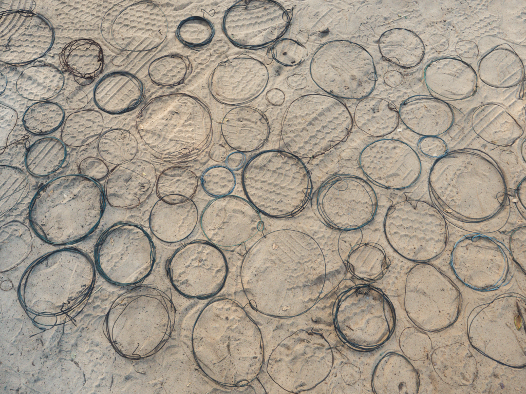 Vrijwilligersreis Hwange - Zimbabwe