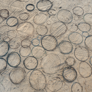 Vrijwilligersreis Hwange - Zimbabwe - Afbeelding 30