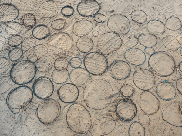 Vrijwilligersreis Hwange - Zimbabwe