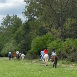 6-daagse Paardrijtocht door Zuid-Albanië -  Albanië - Afbeelding 7