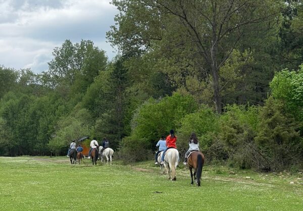 6-daagse Paardrijtocht door Zuid-Albanië -  Albanië