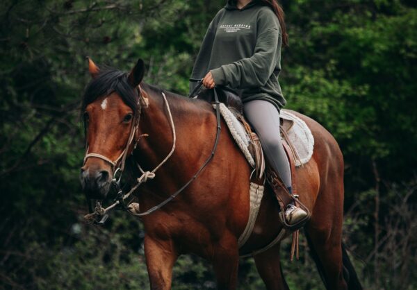 Buitenritten (evt. met overnachting) door Zuid-Albanië -  Albanië