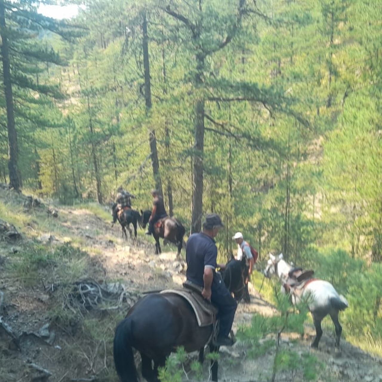 6-daagse Paardrijtocht door Zuid-Albanië -  Albanië - Afbeelding 9