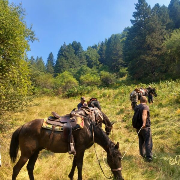 6-daagse Paardrijtocht door Zuid-Albanië -  Albanië