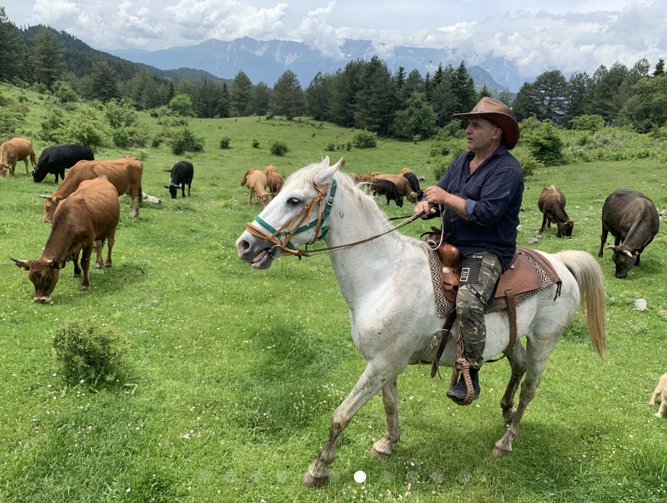 6-daagse Paardrijtocht door Zuid-Albanië -  Albanië - Afbeelding 2