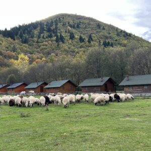 Buitenritten (evt. met overnachting) door Zuid-Albanië -  Albanië - Afbeelding 5