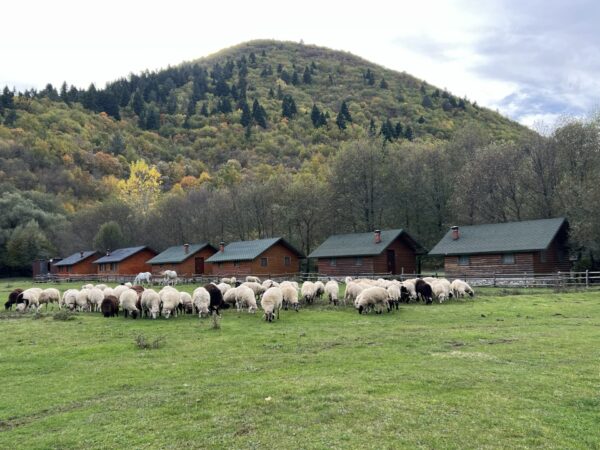 Buitenritten (evt. met overnachting) door Zuid-Albanië -  Albanië
